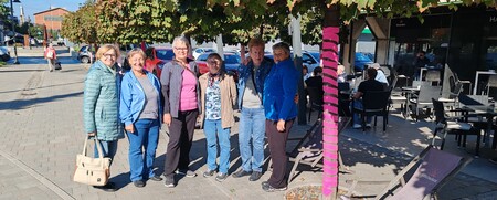 Rožnati oktober na Ravnah (6)